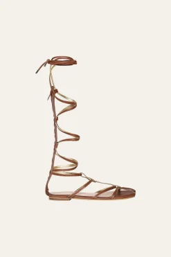 Baquiana Gladiators In Brown