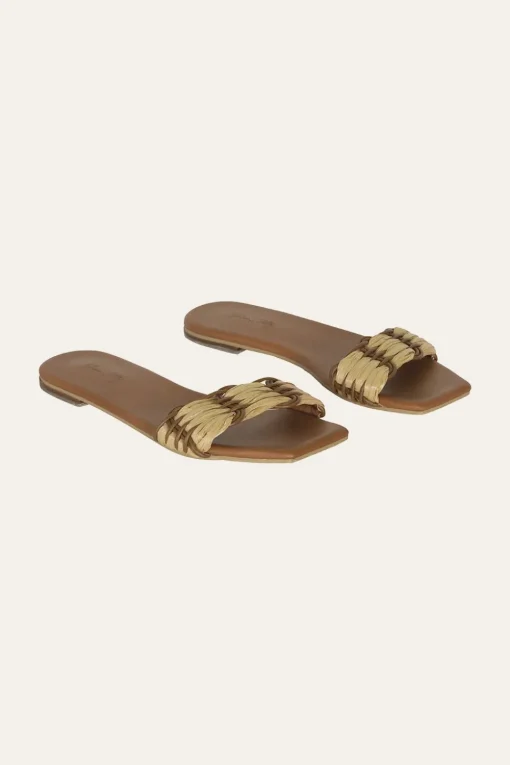 Hidden Messages Flats In Camel